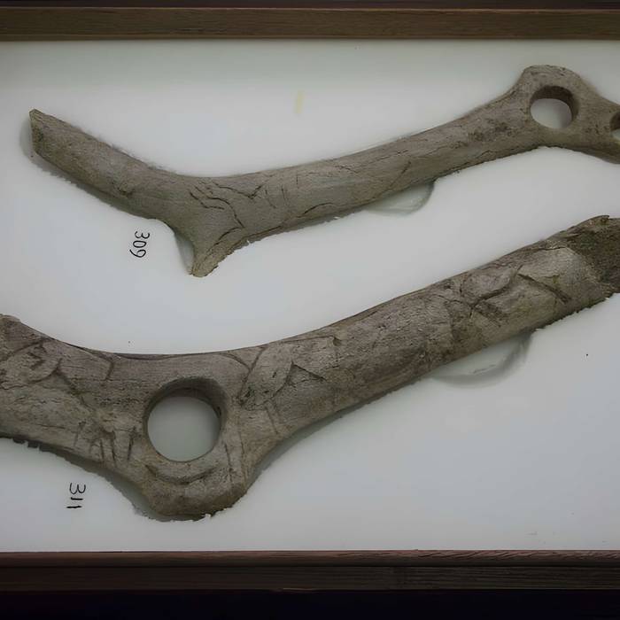 Photo de Gisement préhistorique de la Madeleine