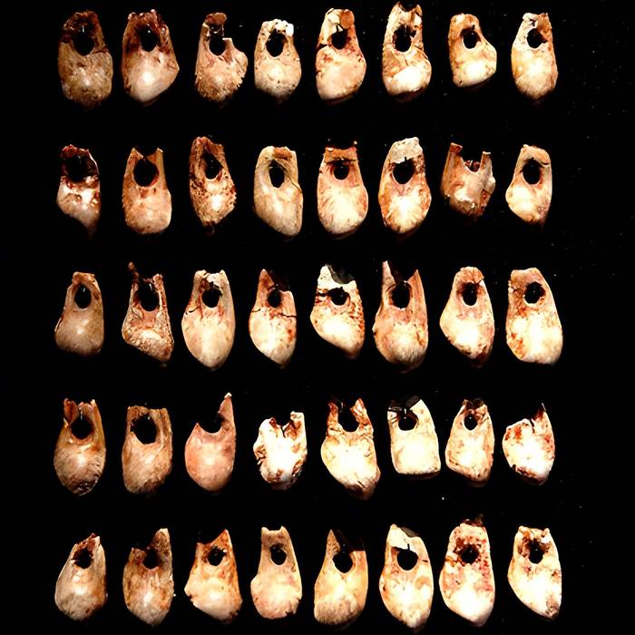 Photo de Gisement préhistorique de la Madeleine