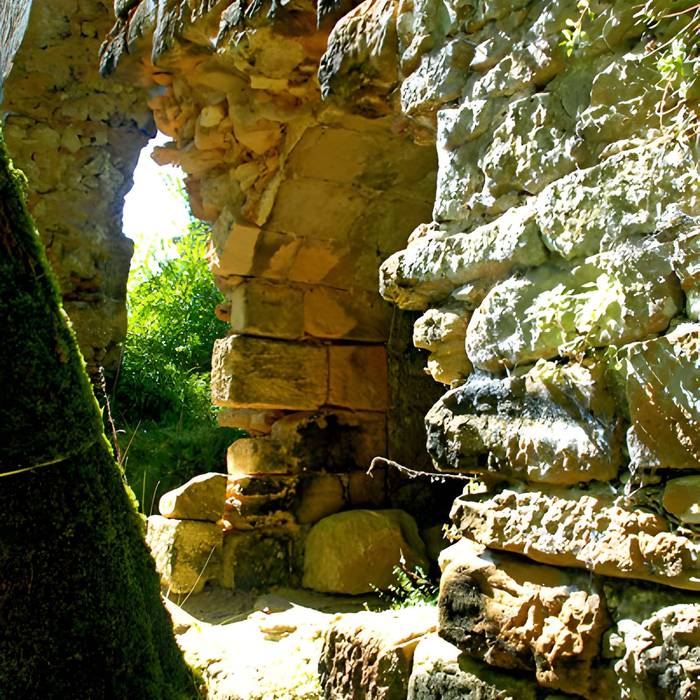Photo de Gisement préhistorique de la Madeleine