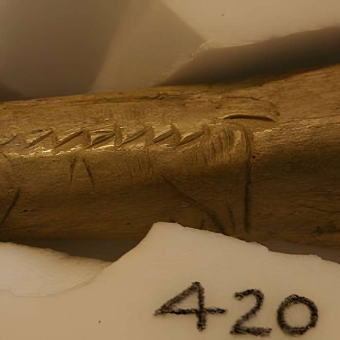 Photo de Gisement préhistorique de la Madeleine