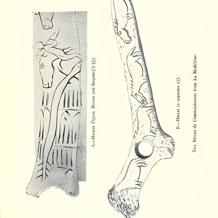 Photo de Gisement préhistorique de la Madeleine