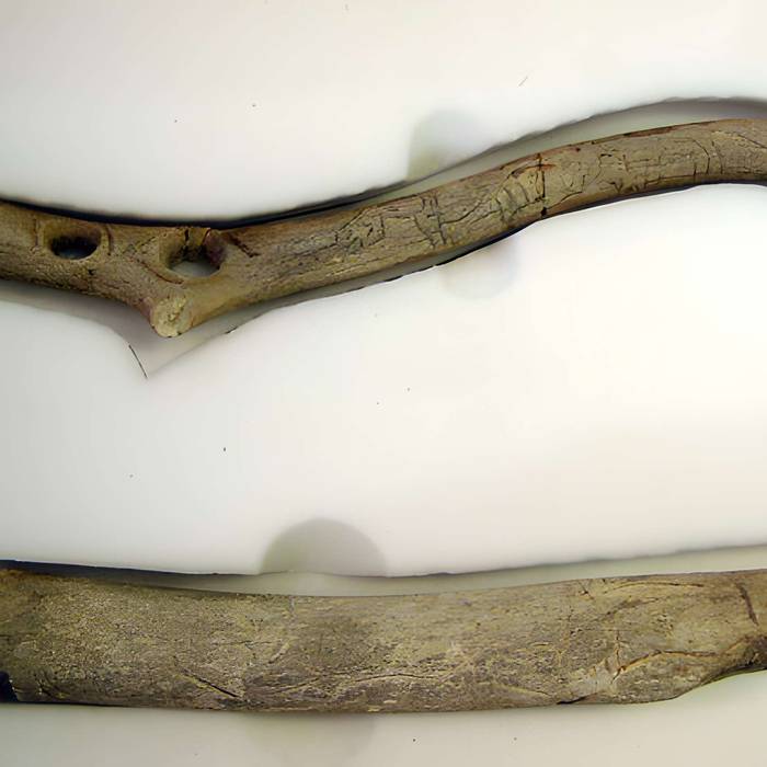 Photo de Gisement préhistorique de la Madeleine