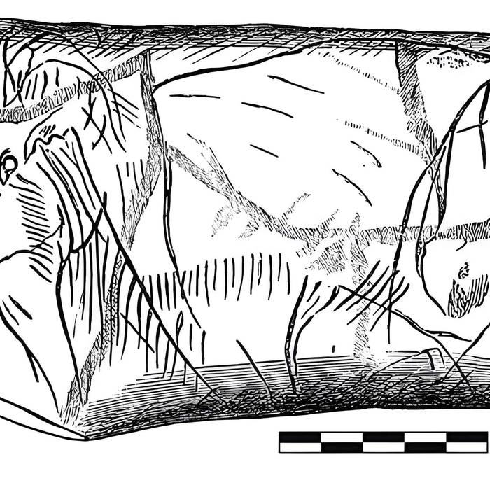 Photo de Gisement préhistorique de la Madeleine