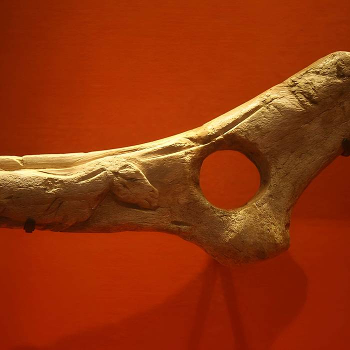 Photo de Gisement préhistorique de la Madeleine