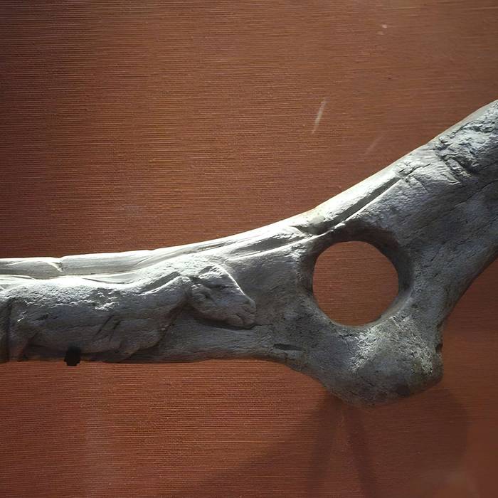 Photo de Gisement préhistorique de la Madeleine