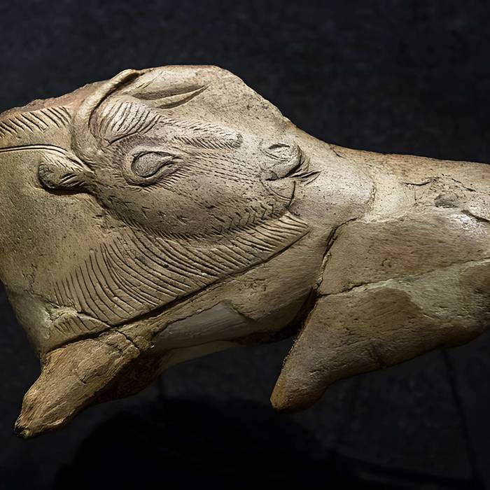 Photo de Gisement préhistorique de la Madeleine