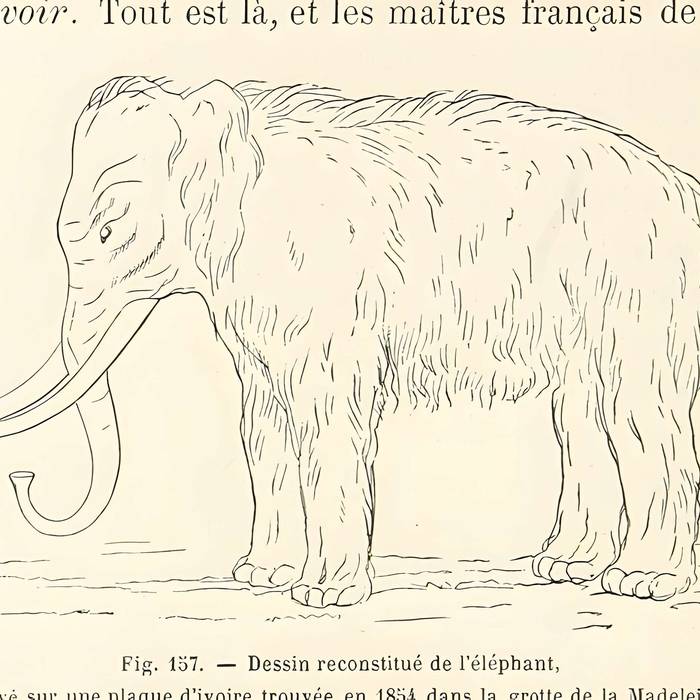 Photo de Gisement préhistorique de la Madeleine