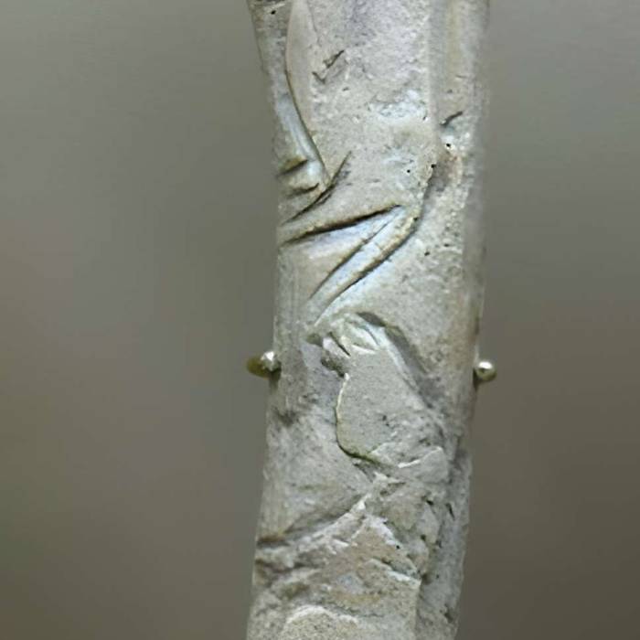 Photo de Gisement préhistorique de la Madeleine