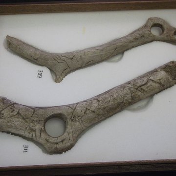 Gisement préhistorique de la Madeleine