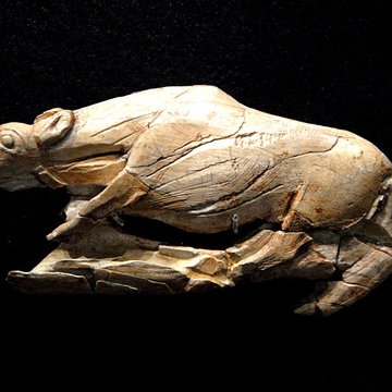 Gisement préhistorique de la Madeleine