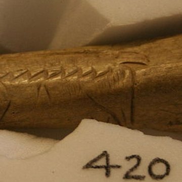 Gisement préhistorique de la Madeleine