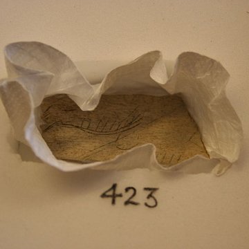 Gisement préhistorique de la Madeleine