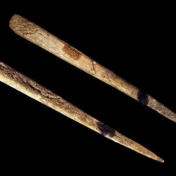 Gisement préhistorique de la Madeleine