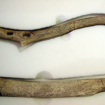 Gisement préhistorique de la Madeleine