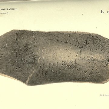 Gisement préhistorique de la Madeleine