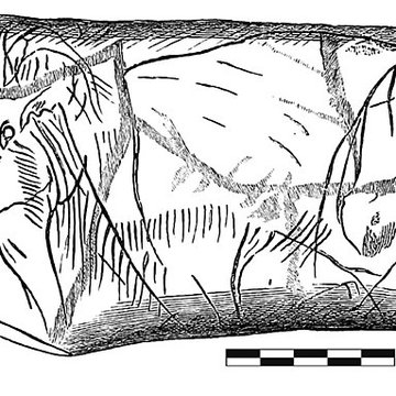 Gisement préhistorique de la Madeleine