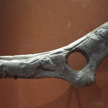 Gisement préhistorique de la Madeleine