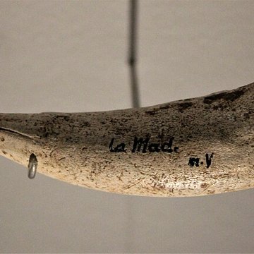 Gisement préhistorique de la Madeleine