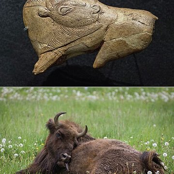 Gisement préhistorique de la Madeleine