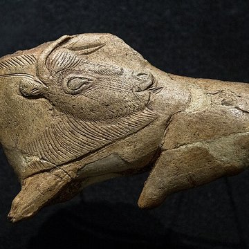 Gisement préhistorique de la Madeleine