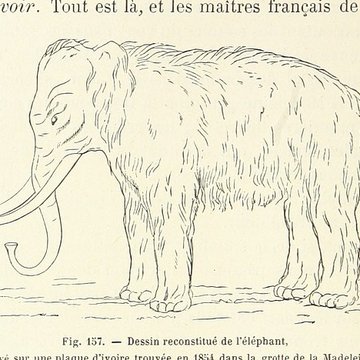 Gisement préhistorique de la Madeleine