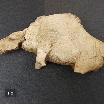 Gisement préhistorique de la Madeleine