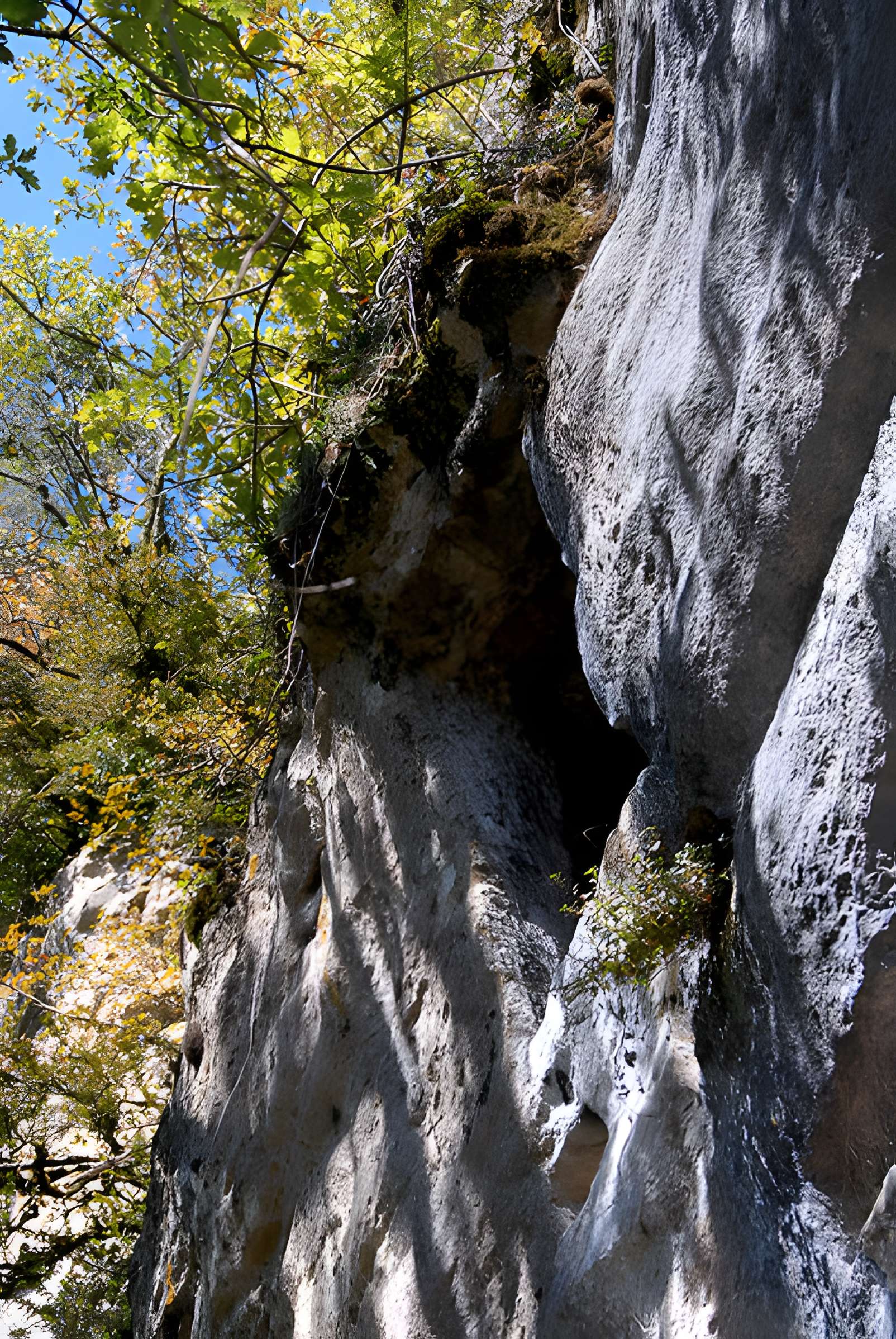 Gisement préhistorique de la Madeleine