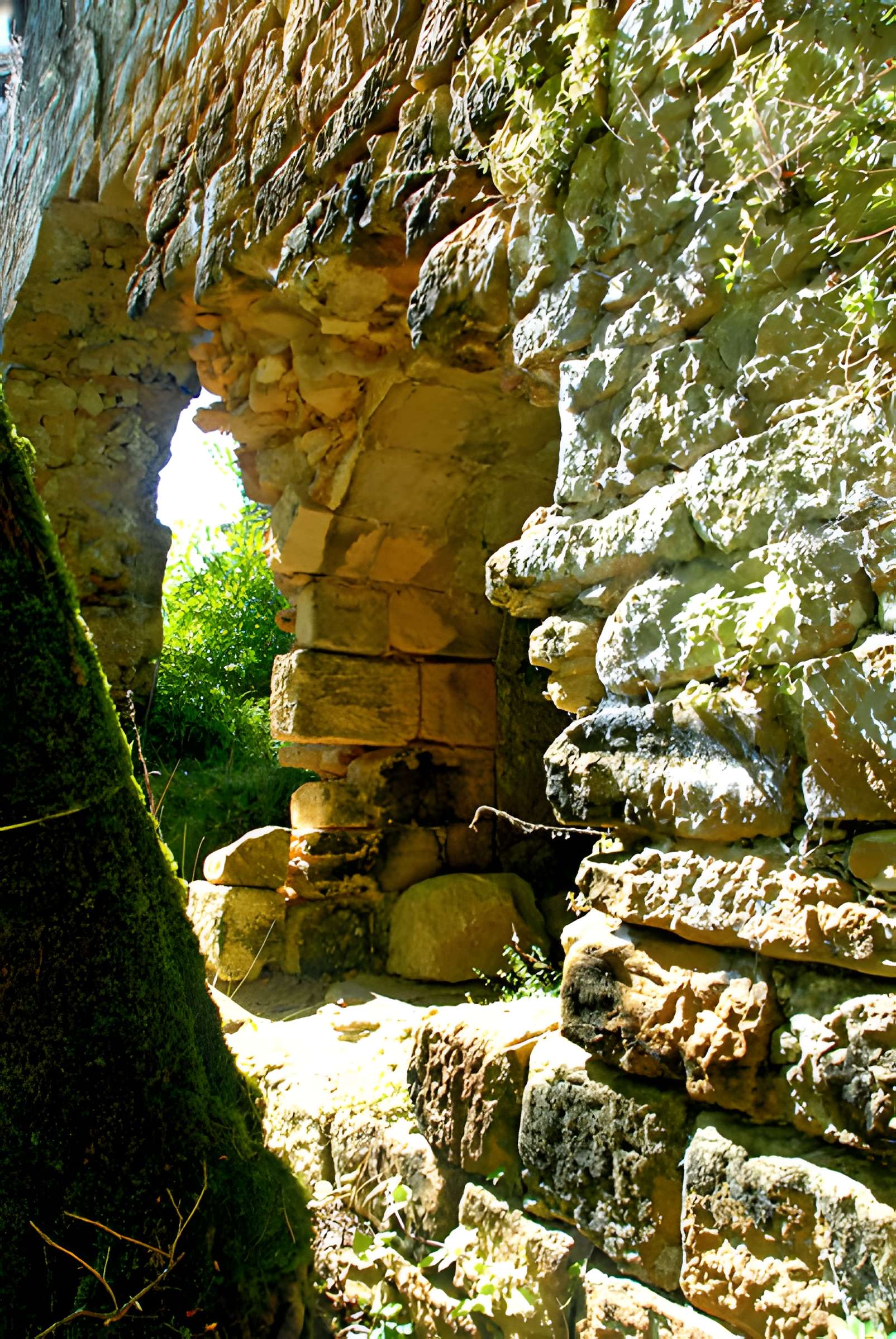 Gisement préhistorique de la Madeleine