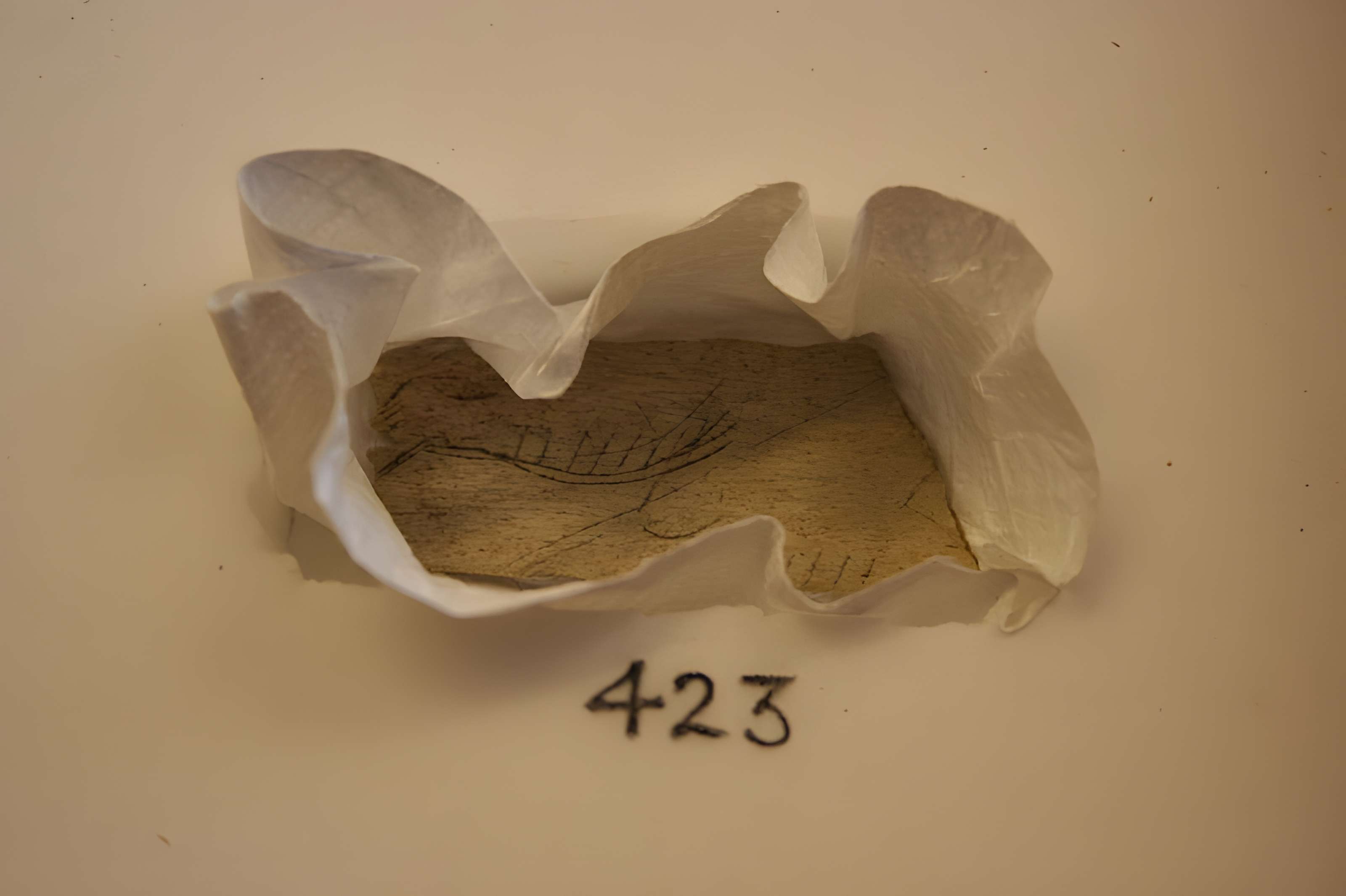 Gisement préhistorique de la Madeleine