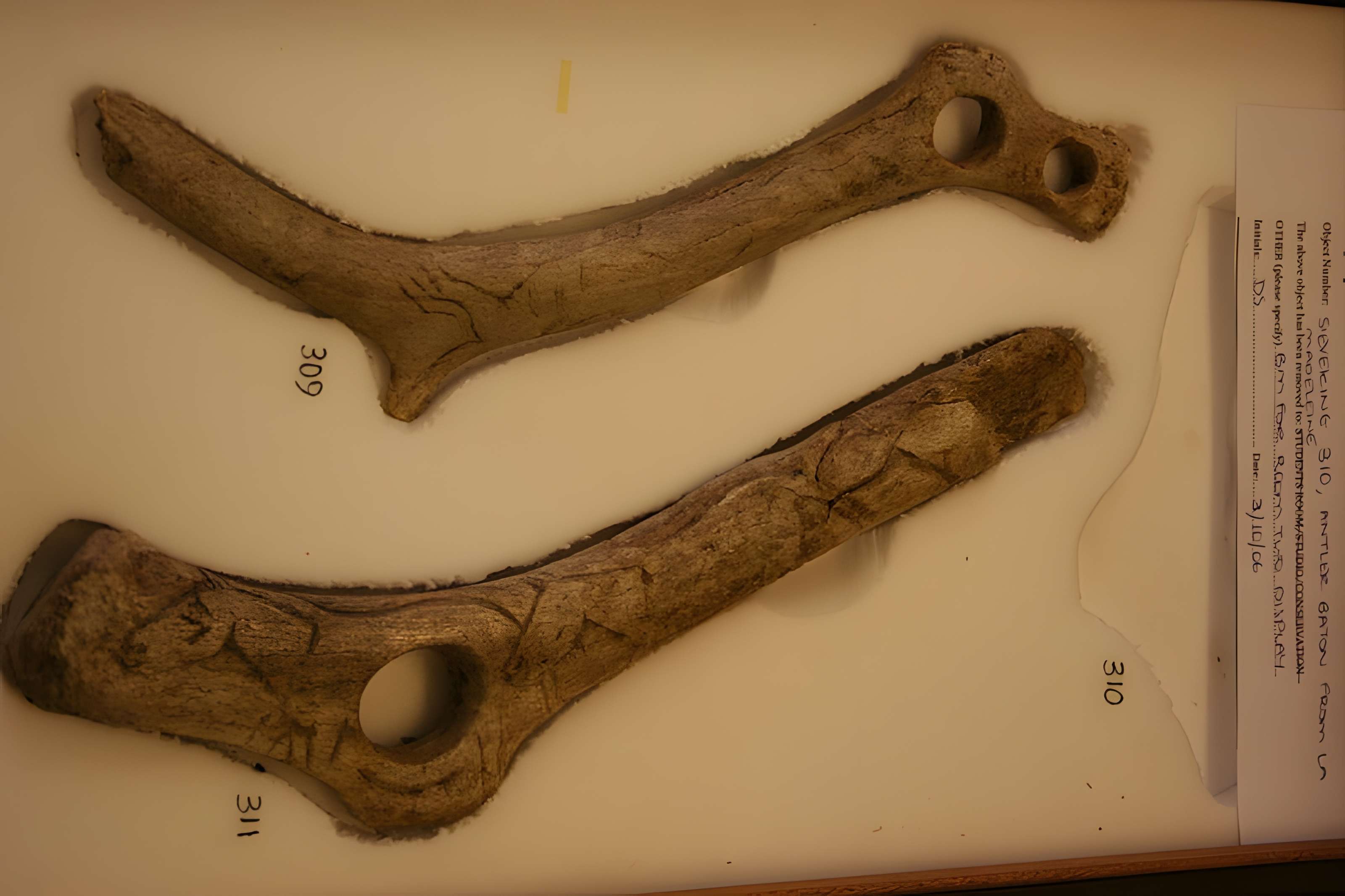 Gisement préhistorique de la Madeleine