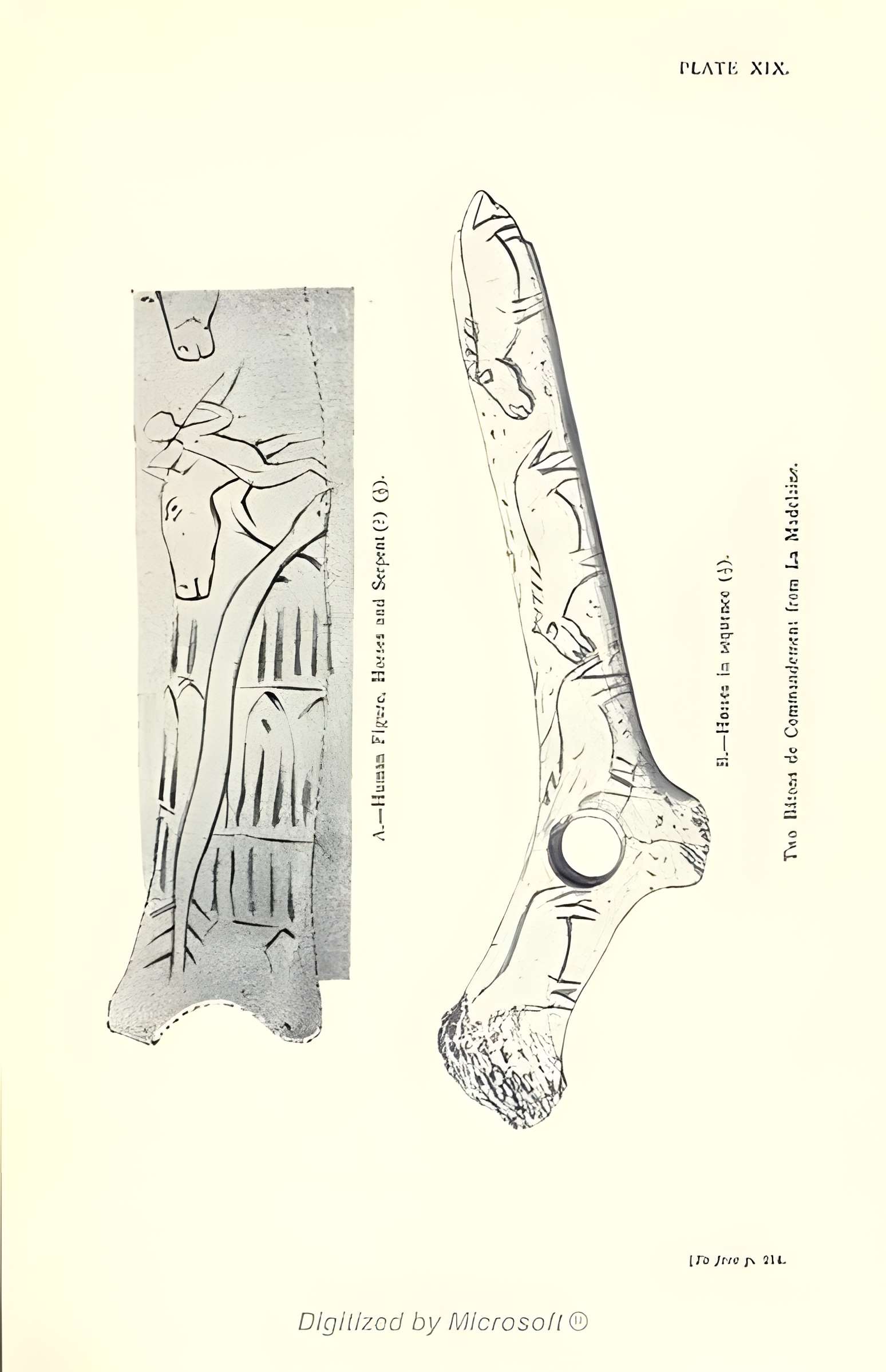 Gisement préhistorique de la Madeleine