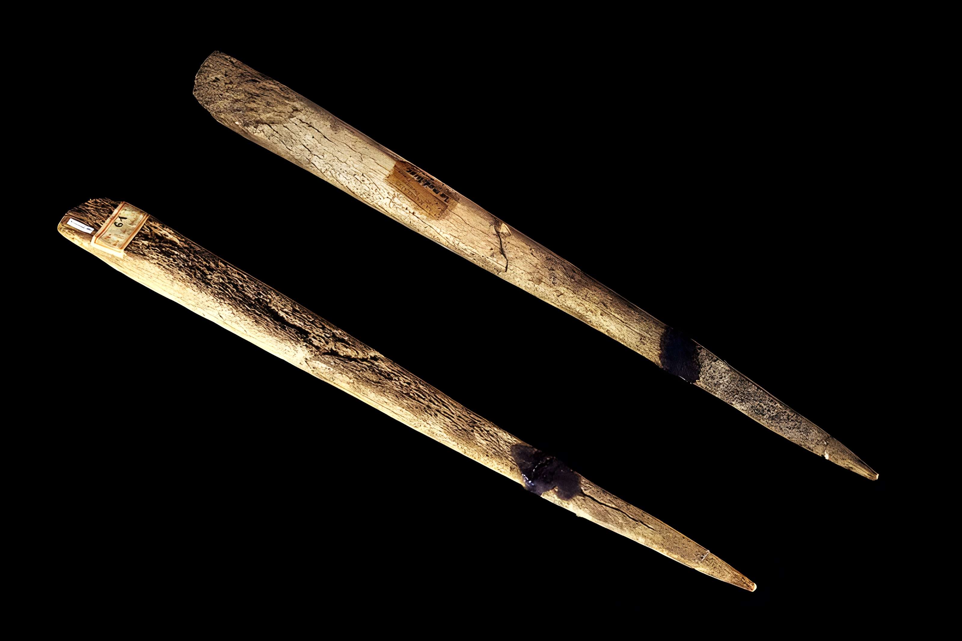 Gisement préhistorique de la Madeleine