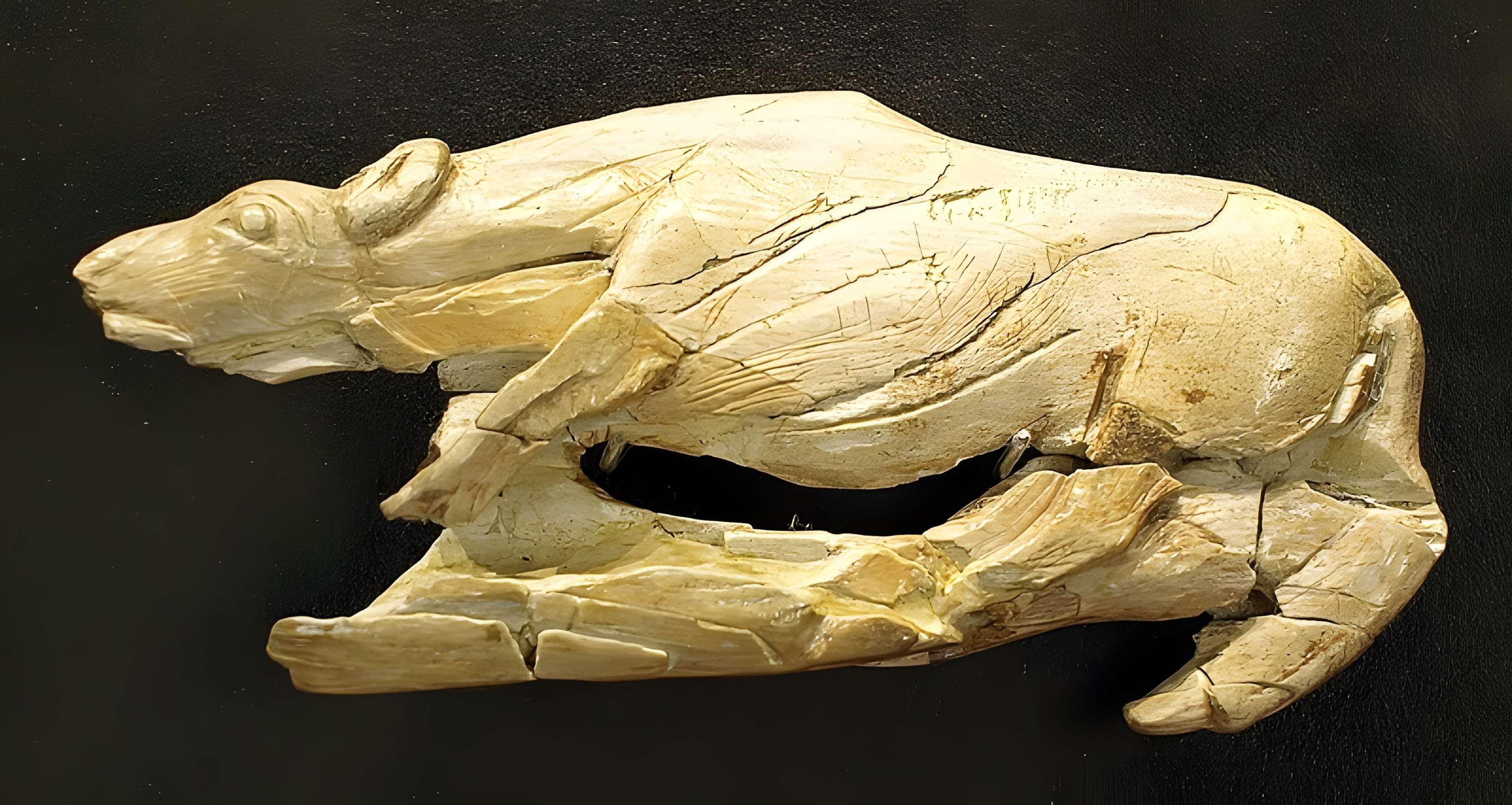 Gisement préhistorique de la Madeleine