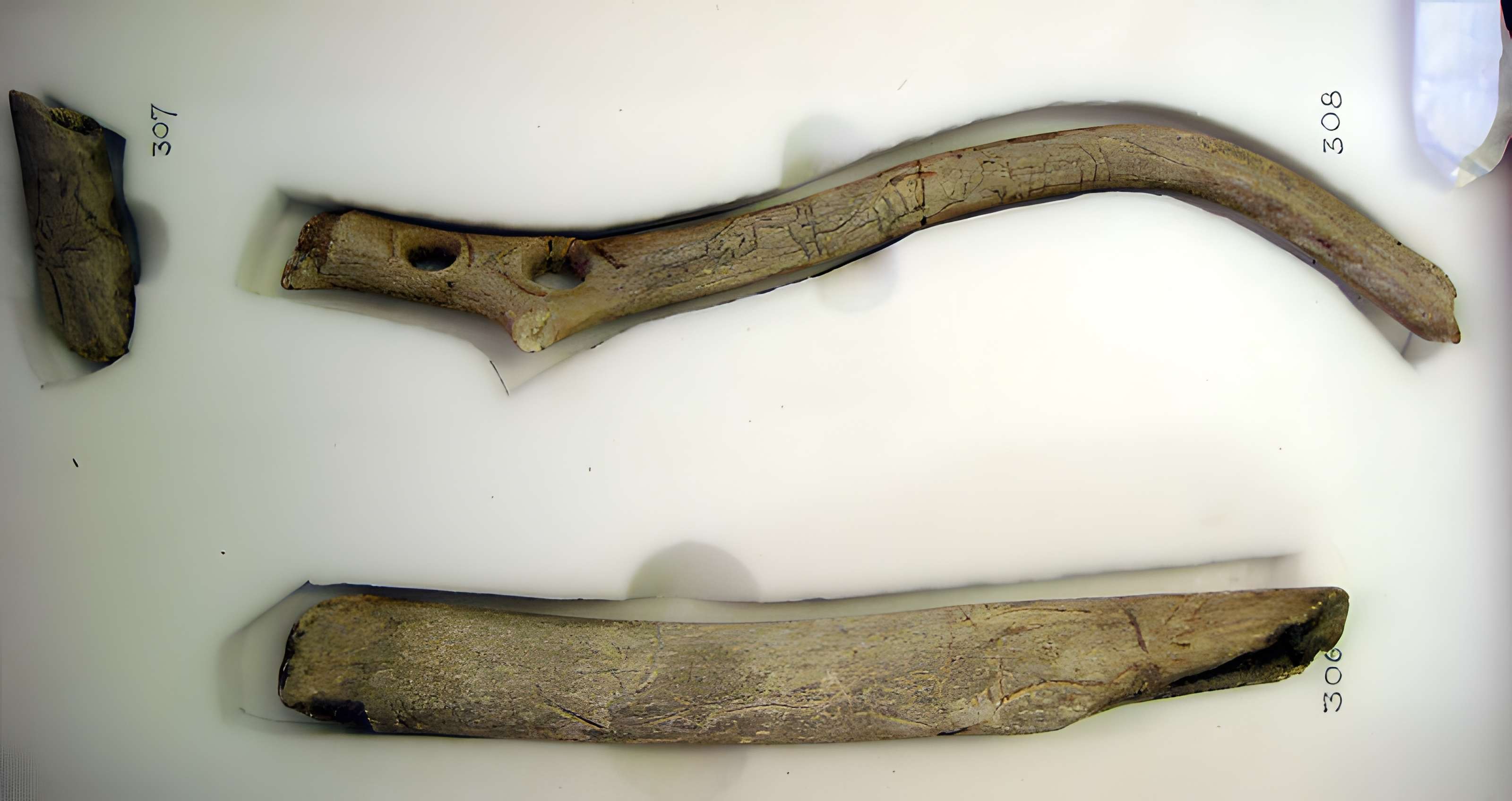 Gisement préhistorique de la Madeleine