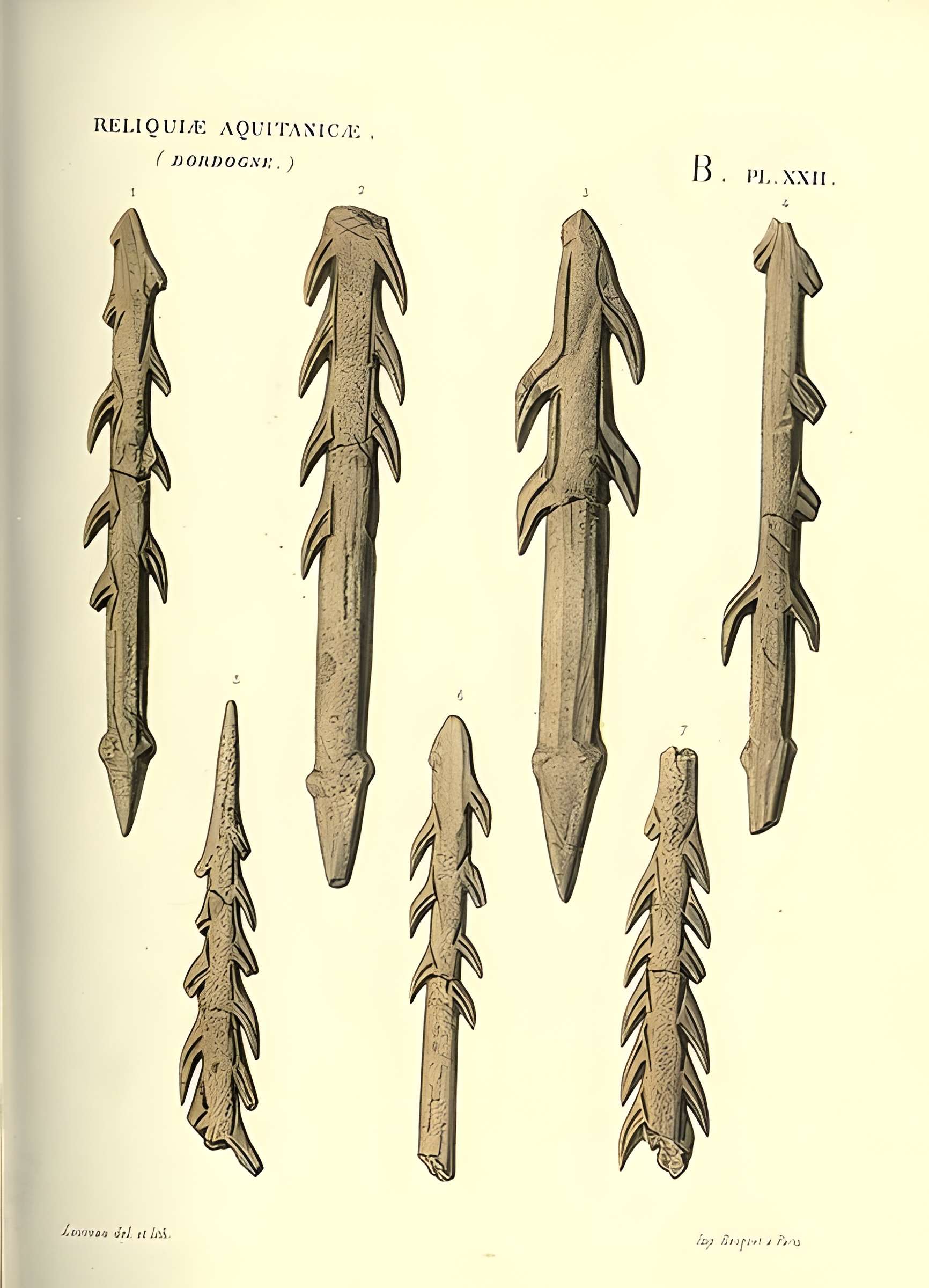 Gisement préhistorique de la Madeleine