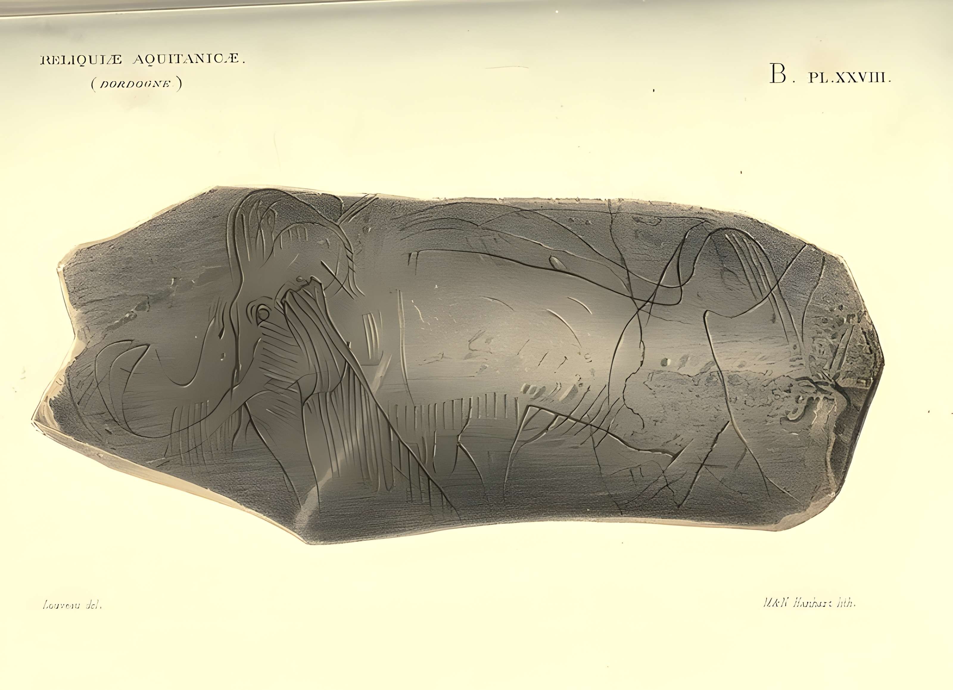 Gisement préhistorique de la Madeleine