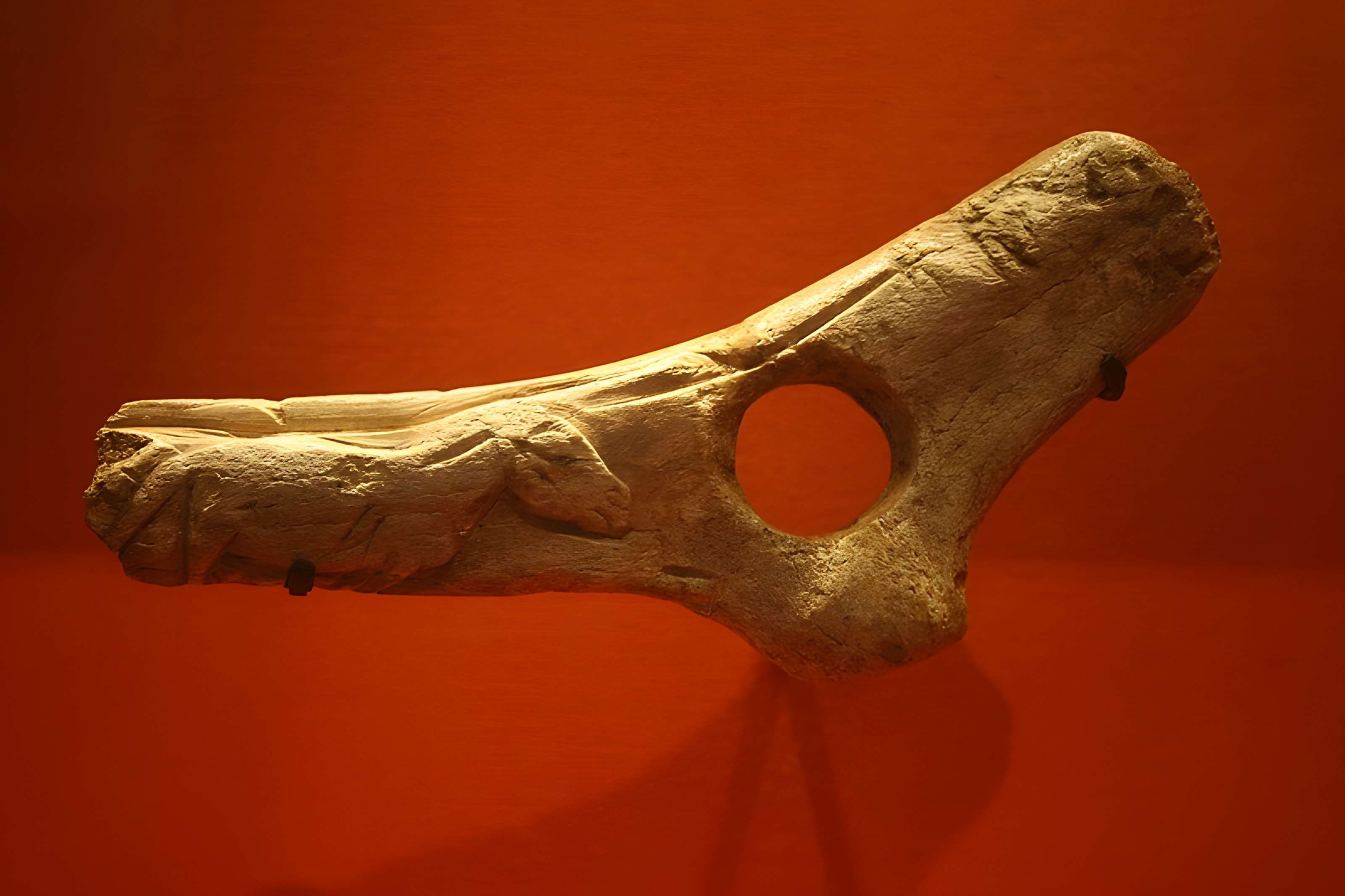 Gisement préhistorique de la Madeleine