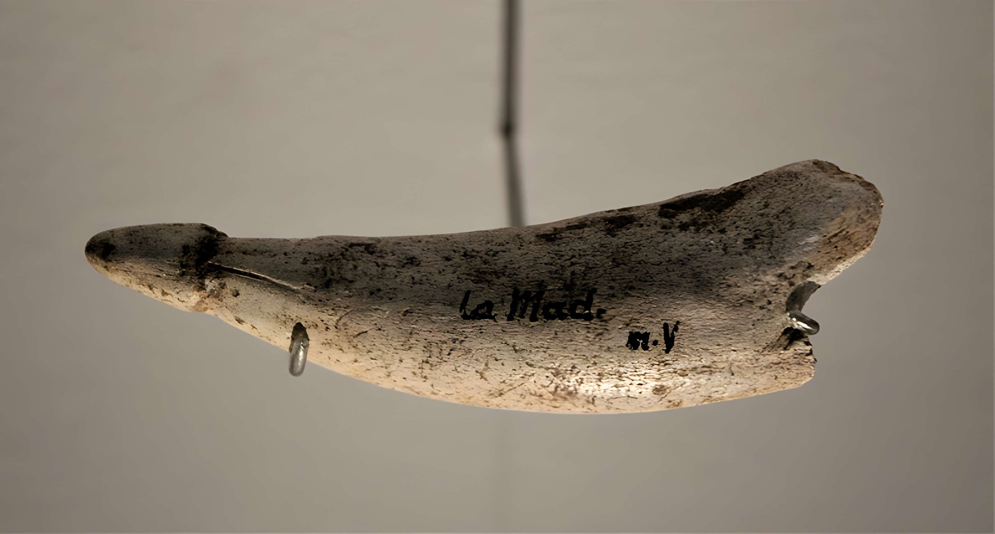 Gisement préhistorique de la Madeleine