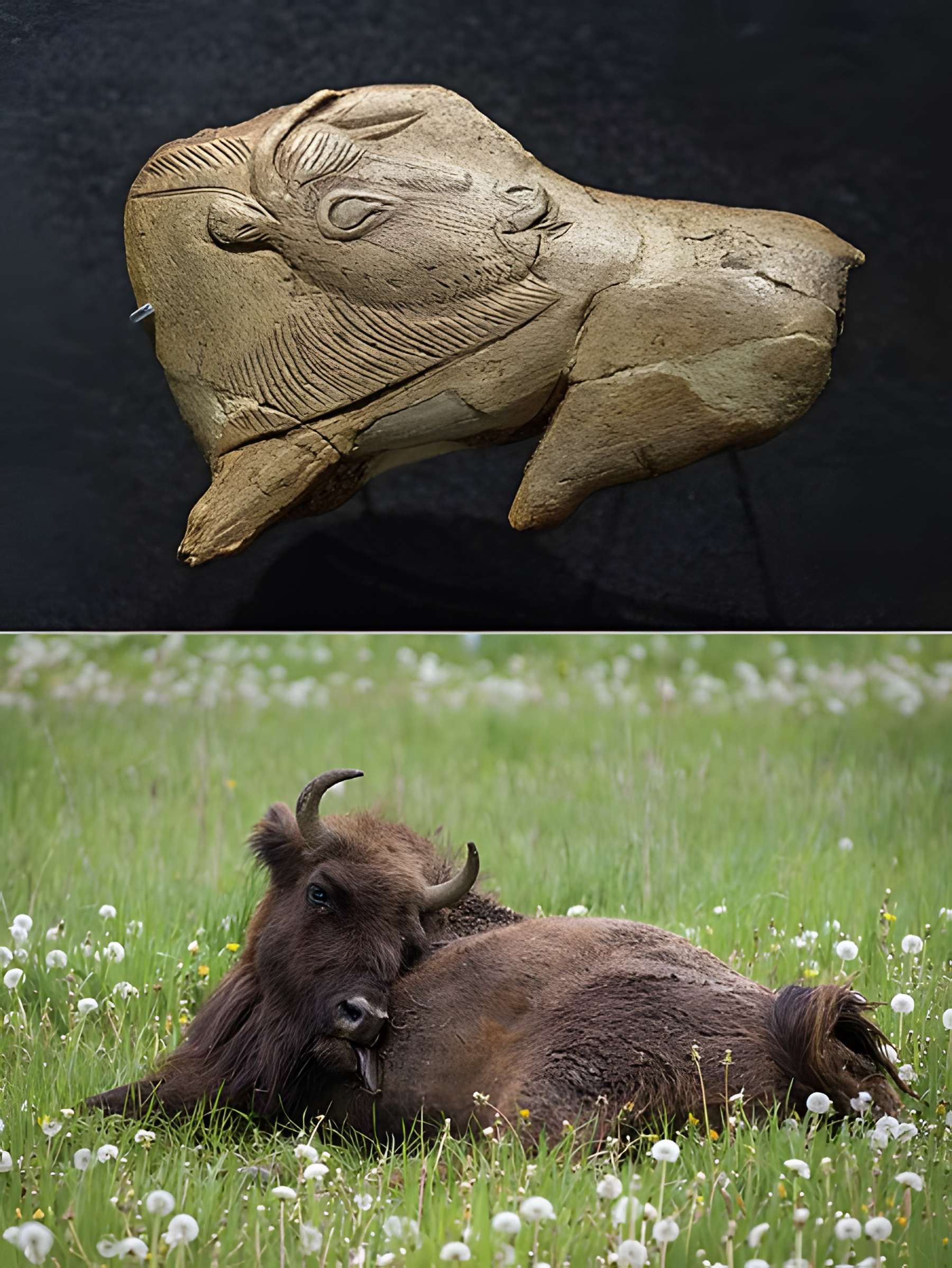 Gisement préhistorique de la Madeleine