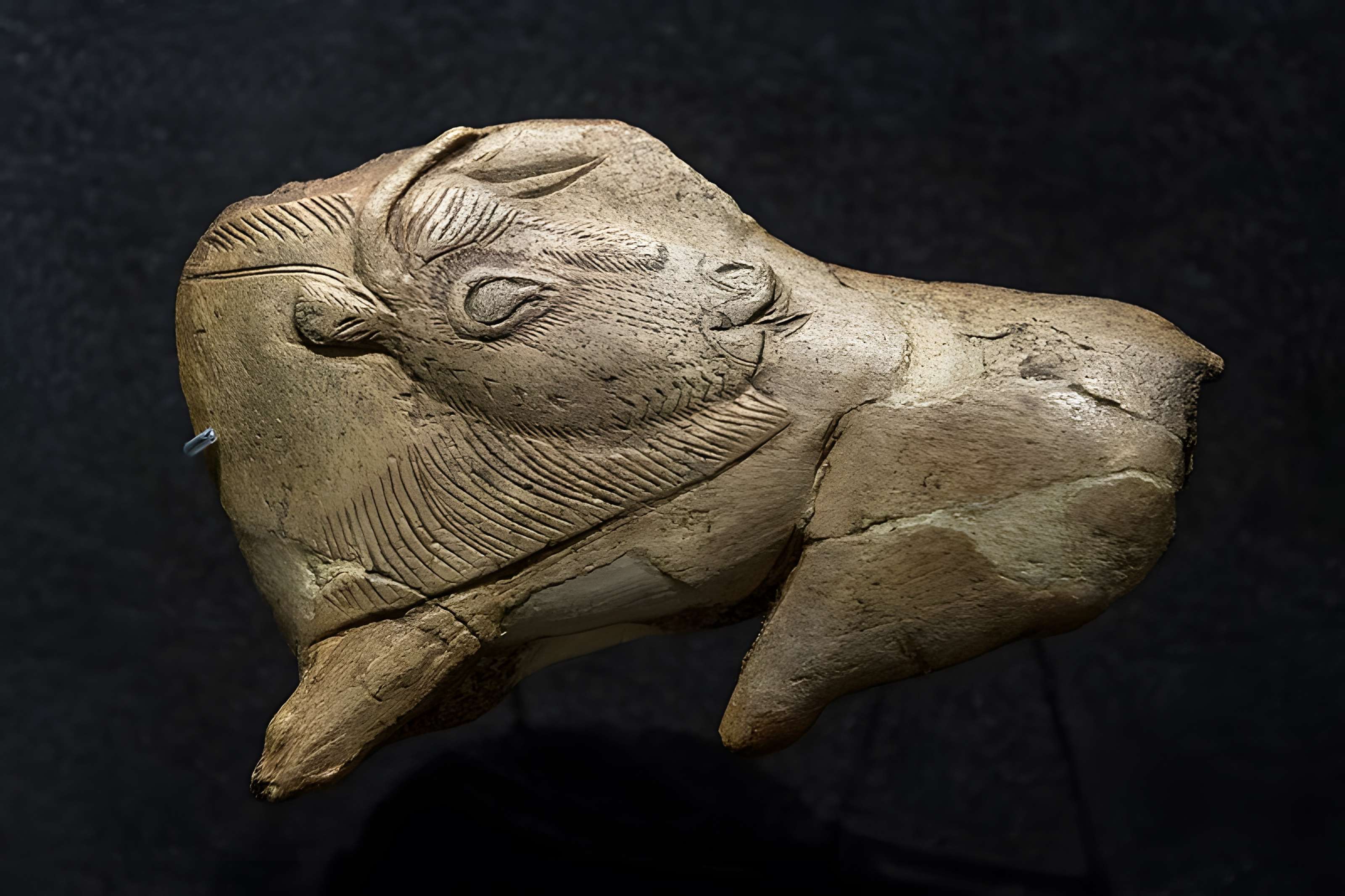 Gisement préhistorique de la Madeleine