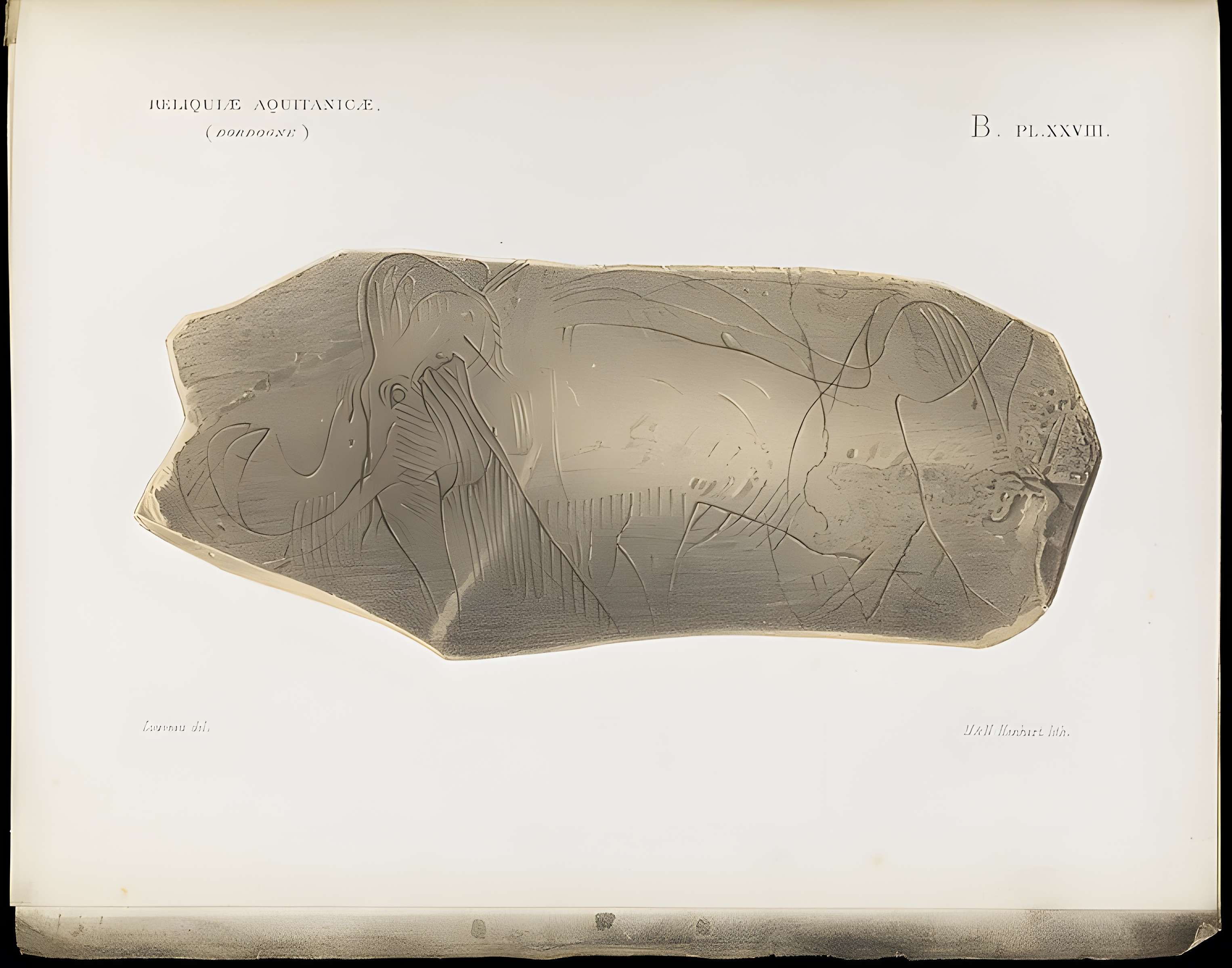 Gisement préhistorique de la Madeleine