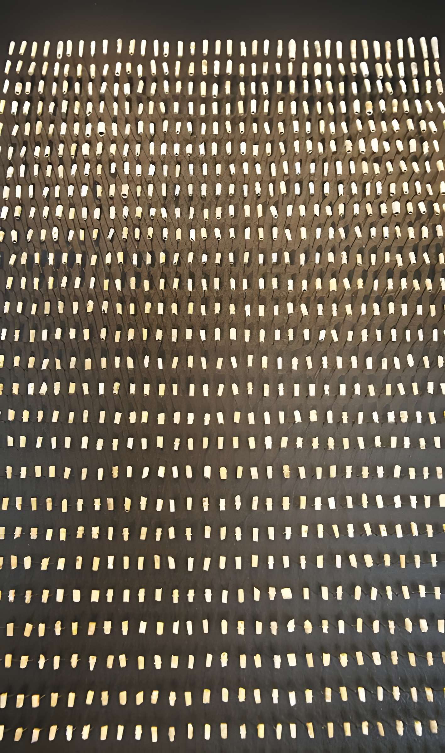 Gisement préhistorique de la Madeleine