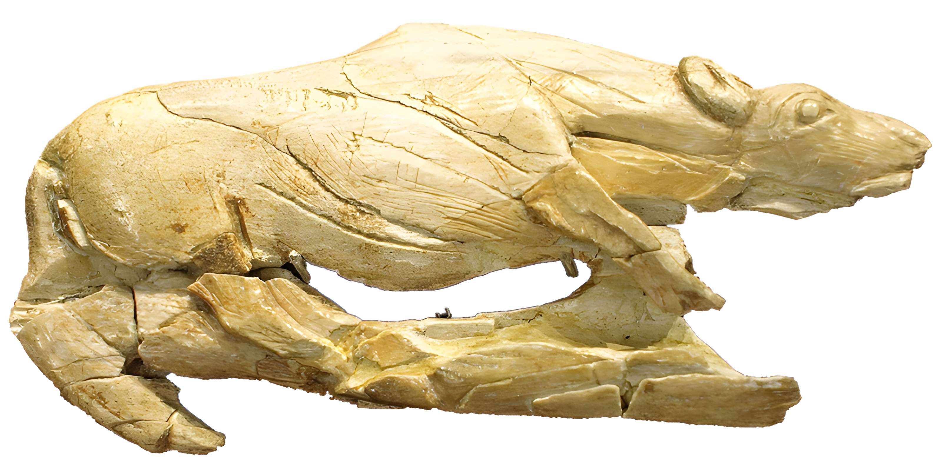 Gisement préhistorique de la Madeleine