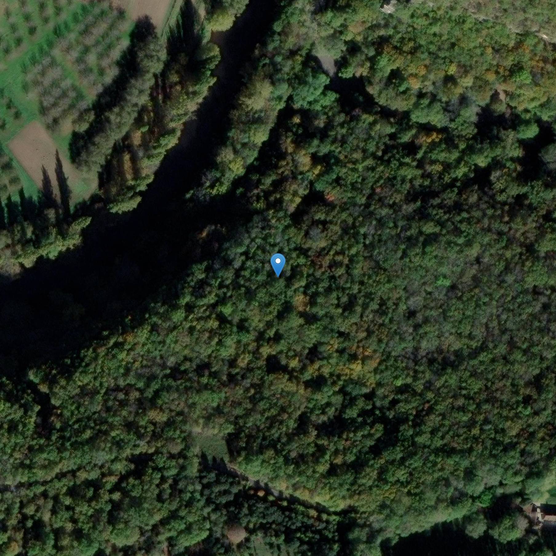 Photo de 森林洞穴