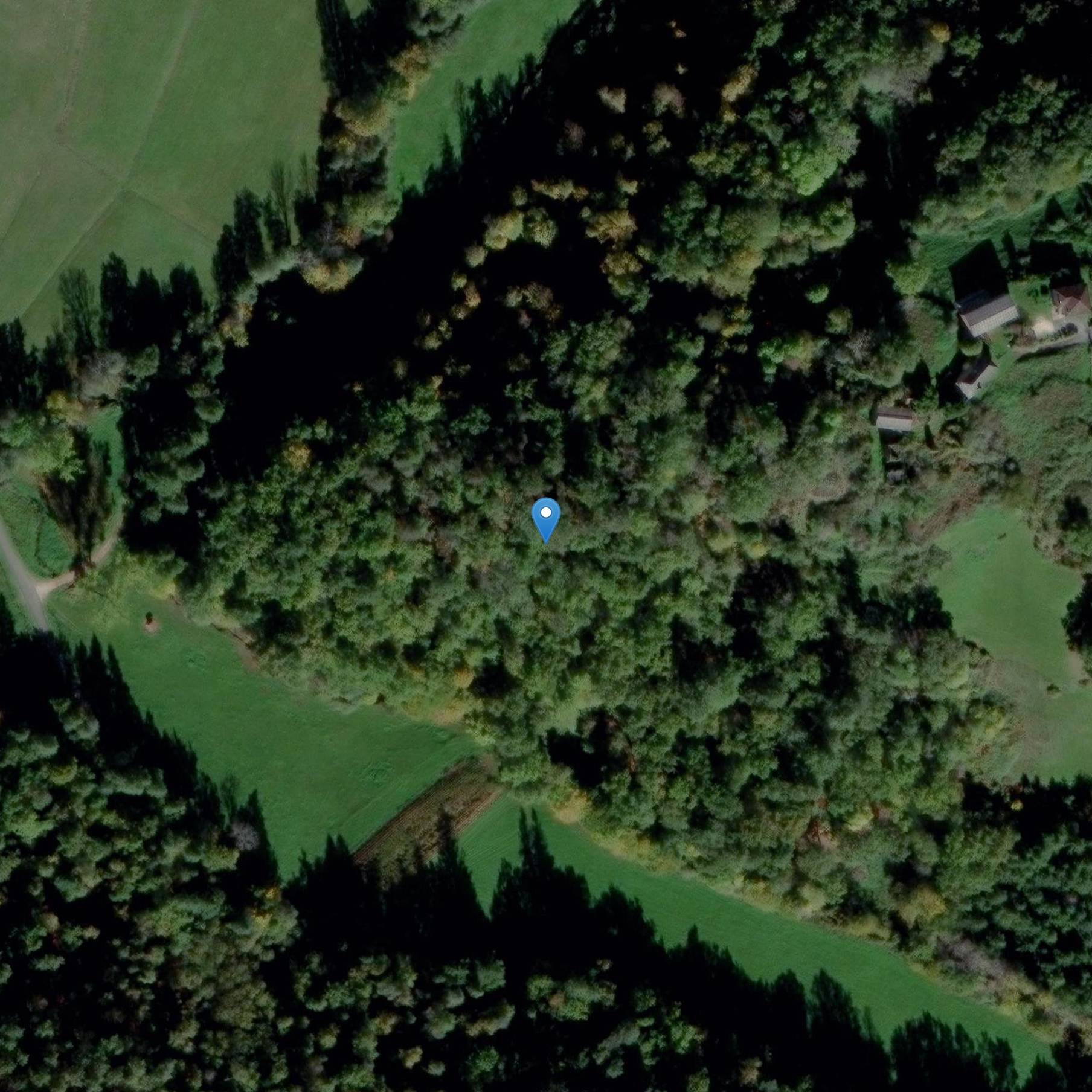 Photo de Prehistorische grot van de Sudrie