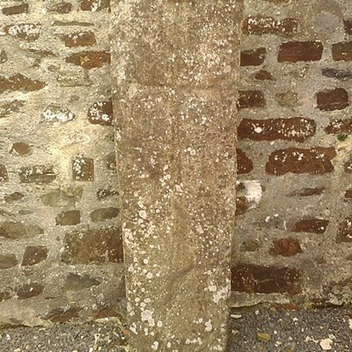 Photo de Église Notre-Dame de Savigny