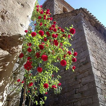 Église Notre-Dame de Termes