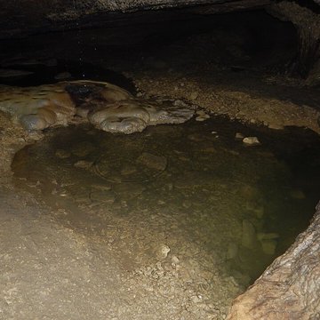 Grotte-chapelle de Remonot