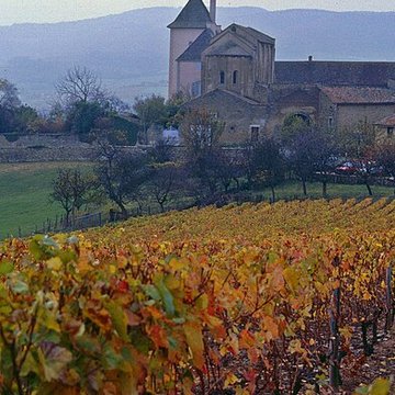 Chapelle des moines de Berzé-la-Ville
