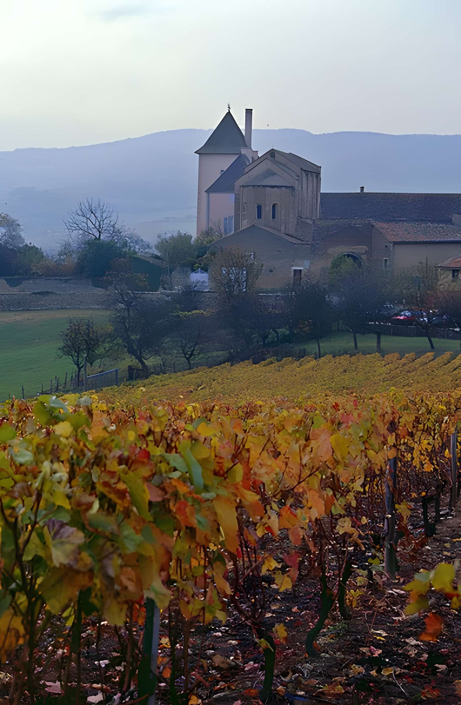Chapelle des moines de Berzé-la-Ville